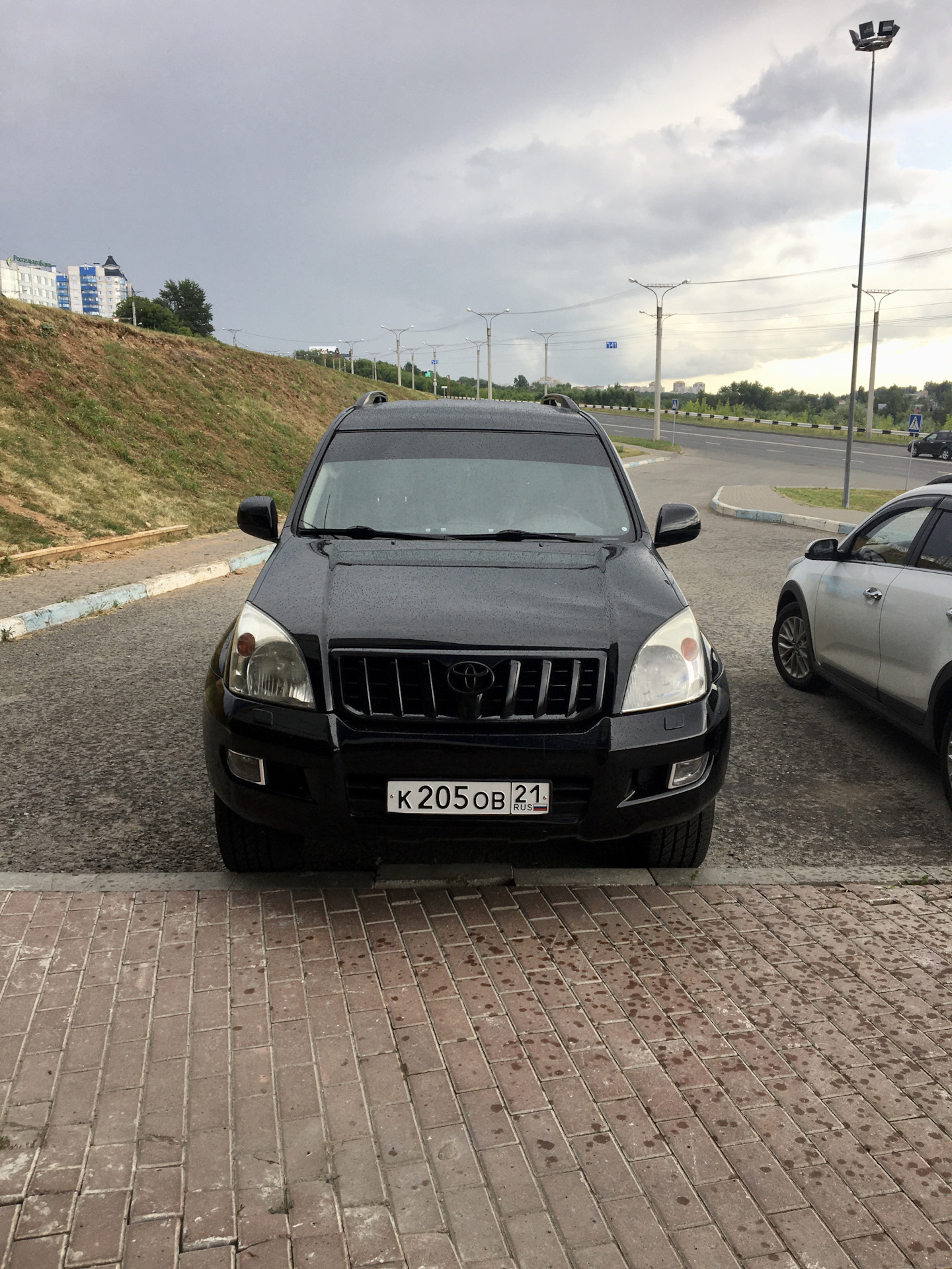 Шкода фабия перелили масло - 96 фото