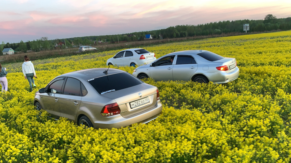 Какое масло листь? — Volkswagen Polo Sedan, 1,6 л, 2017 года | просто ...