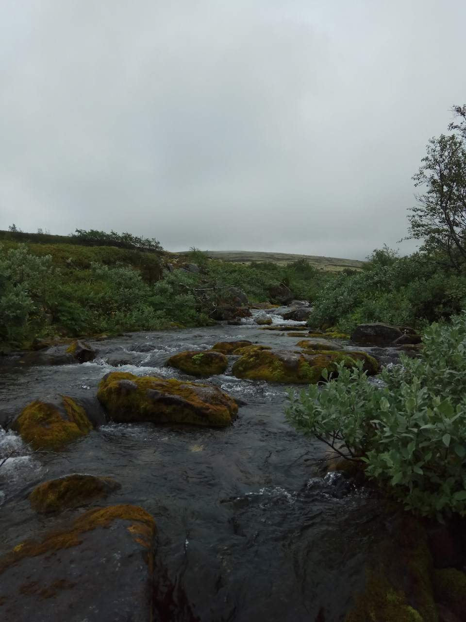 Мурманск. Гора Аллуайв — Land Rover Discovery II, 2,5 л, 2003 года ...