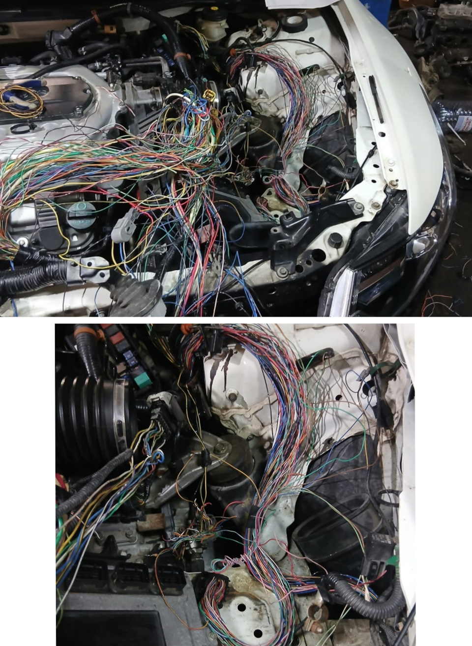 5. — Honda Accord (8G)