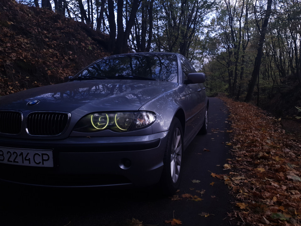 Нашел откуда идет гул — BMW 3 series (E46), 2,2 л, 2003 года ...