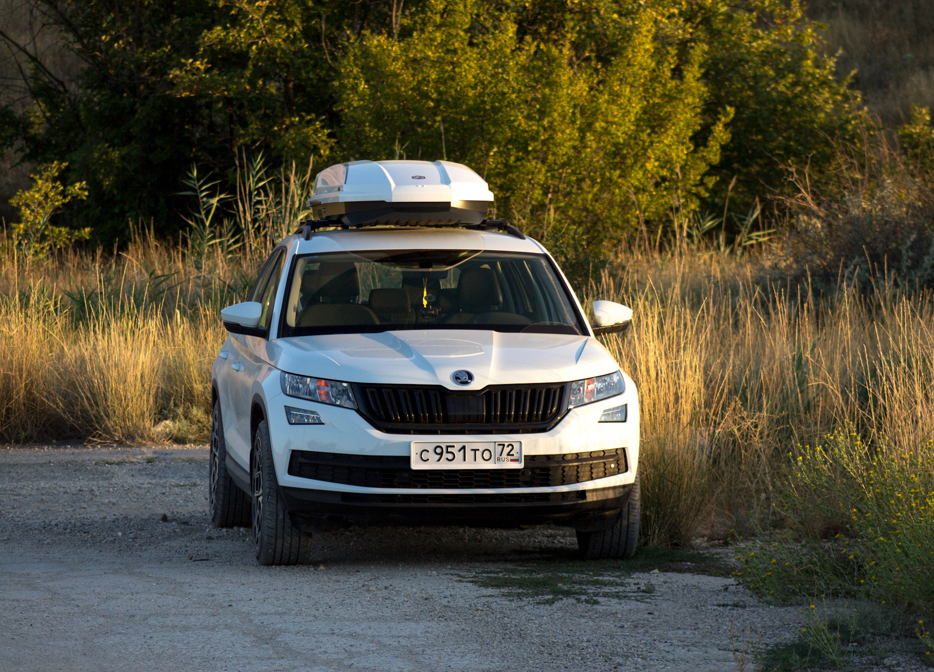 Шкода кодиак 4х4. Шкода Кодак. Шкода 4х4. Шкода Кодиак RS. Skoda Kodiaq такси.