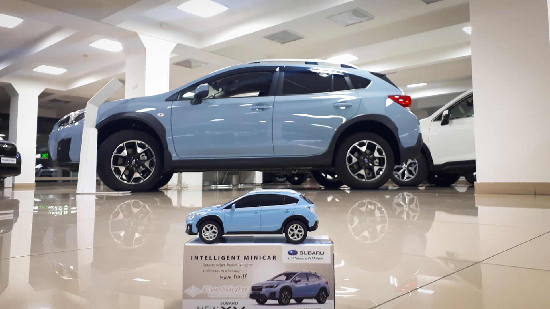 #14_Получил свой приз… спустя 4 месяца))) — Subaru Forester (SH), 2,5 л ...