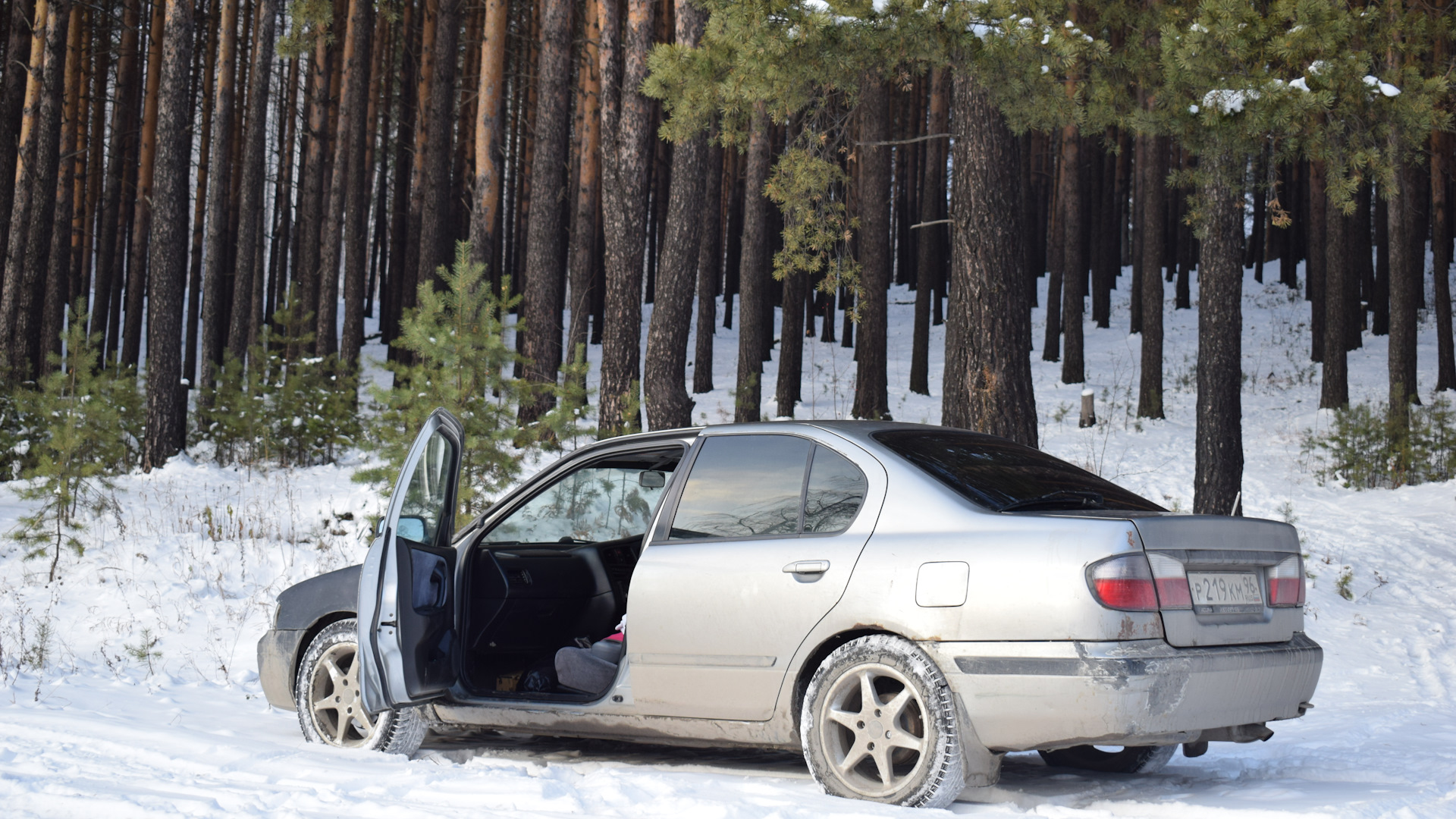 Nissan Primera (P11) 1.8 бензиновый 2000 | Camino Сокол Тысячелетия на  DRIVE2