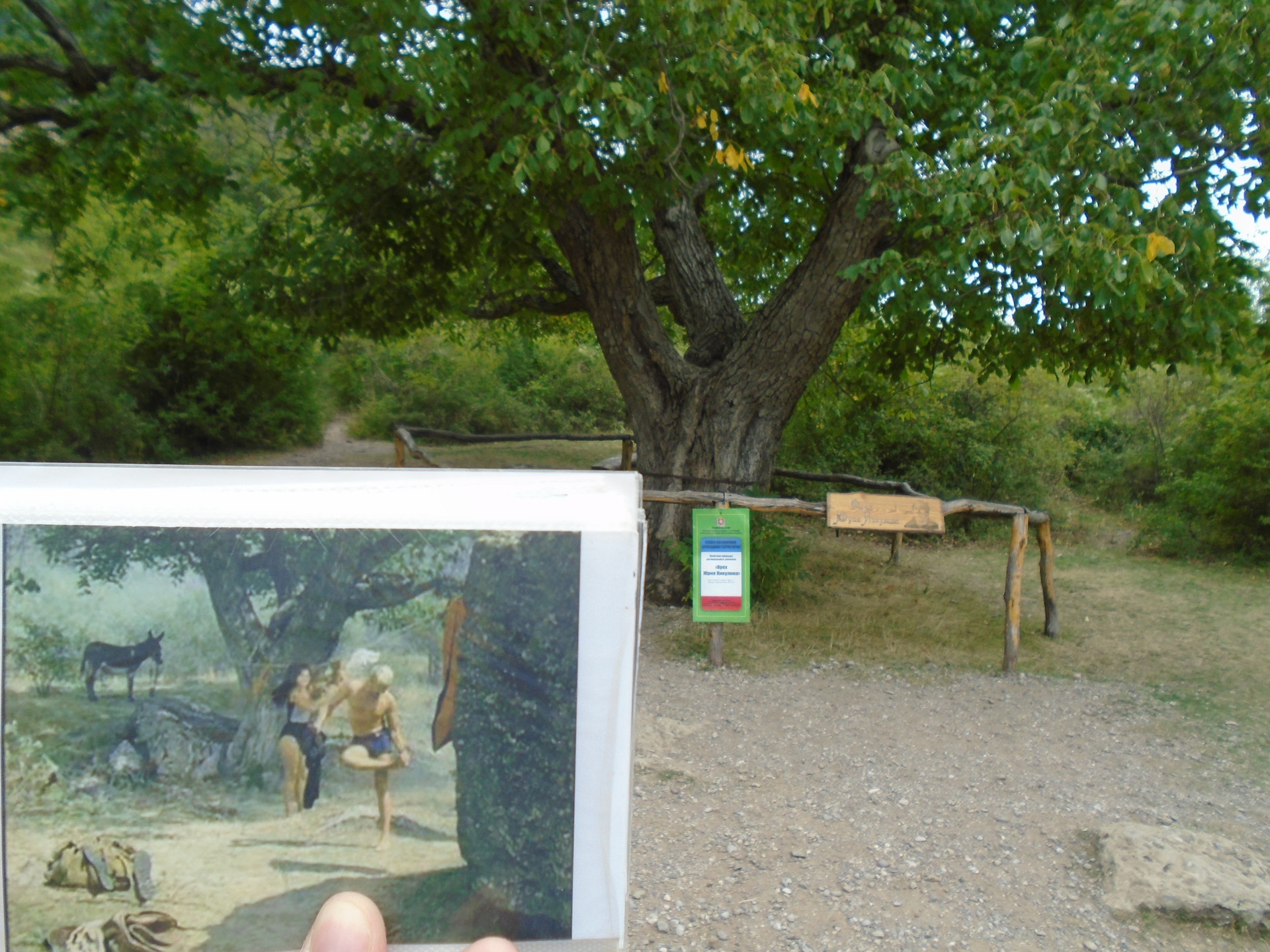 места где снимали кавказскую пленницу фото