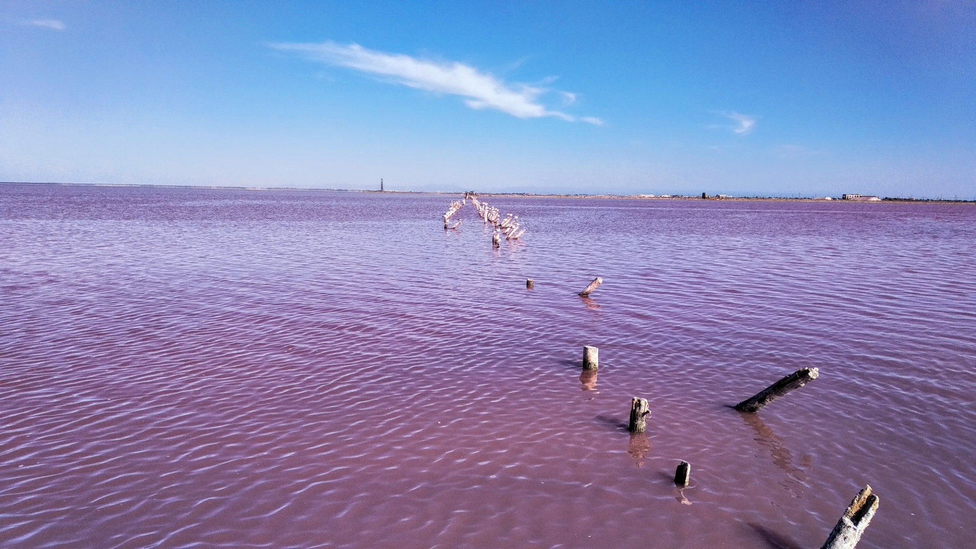 Розовый водоем в крыму. Озеро Сасык. Розовое соленое озеро в Крыму. Розовое озеро Сасык-Сиваш. Озеро Сиваш в Крыму.