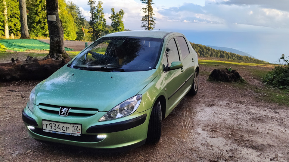 Peugeot 307 2003