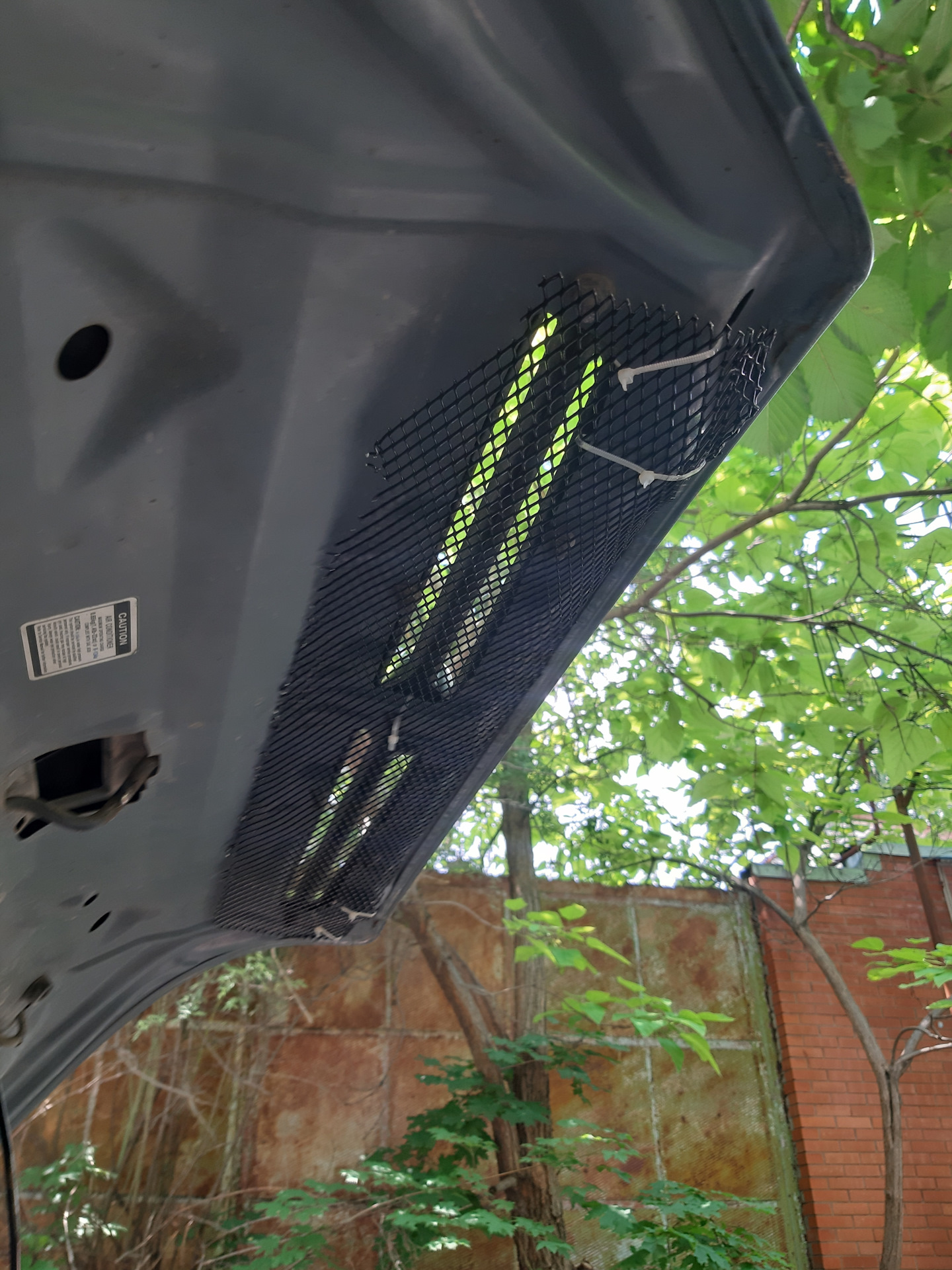 Сетка радиатора — DRIVE2