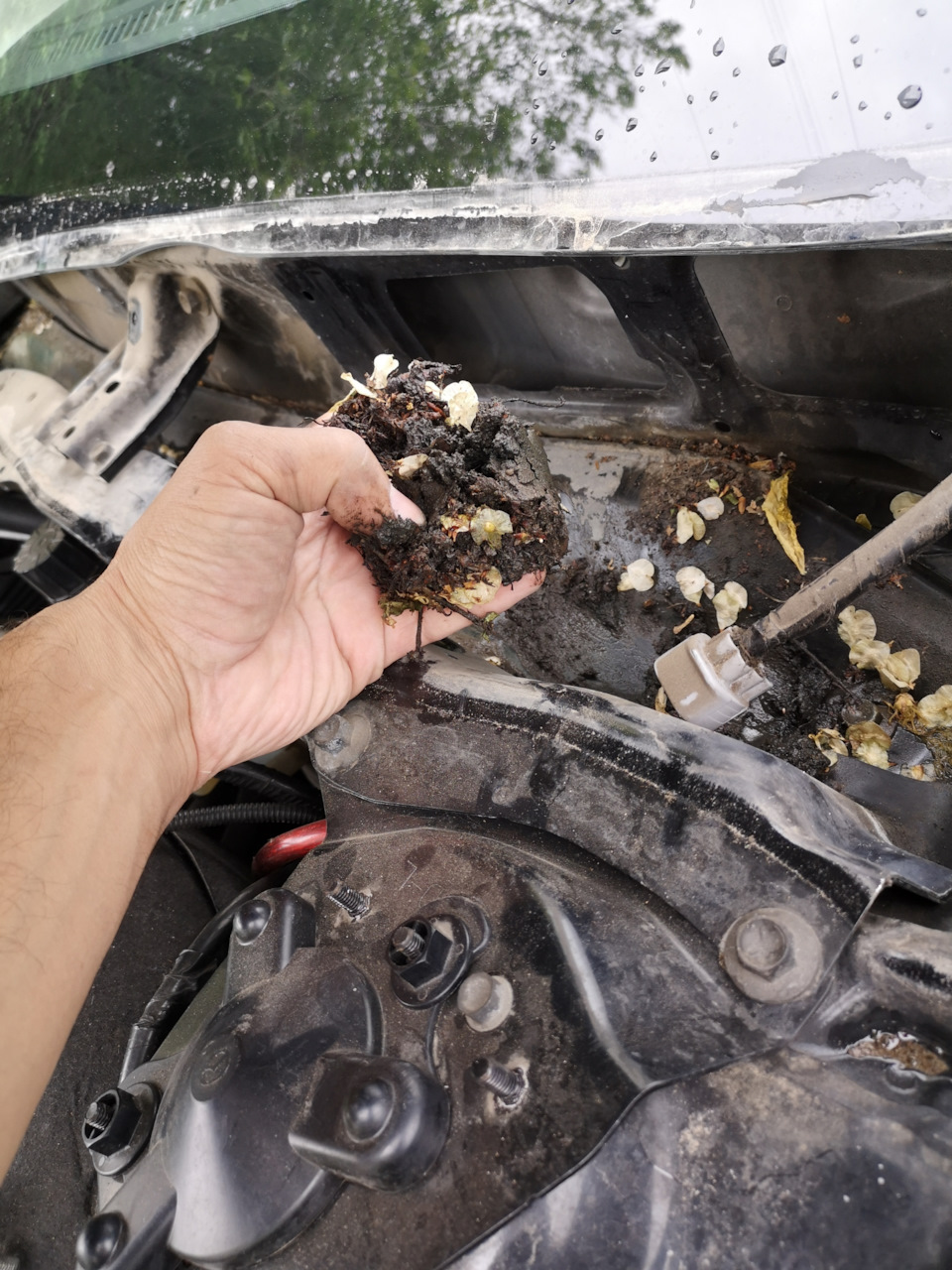 на улице жара, а тут сыро и плохо пахнет — Mazda 6 (2G) GH