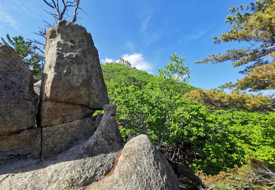 Фото в бортжурнале Toyota Land Cruiser Prado 70-series