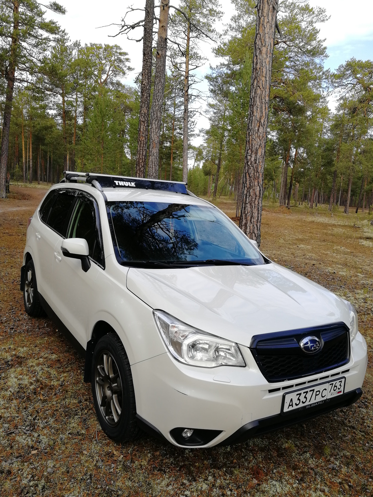 Forester cinema. Subaru Forester 2014 белый. Субару Форестер 4. Субару Форестер 4 поколения. Subaru Forester белый.