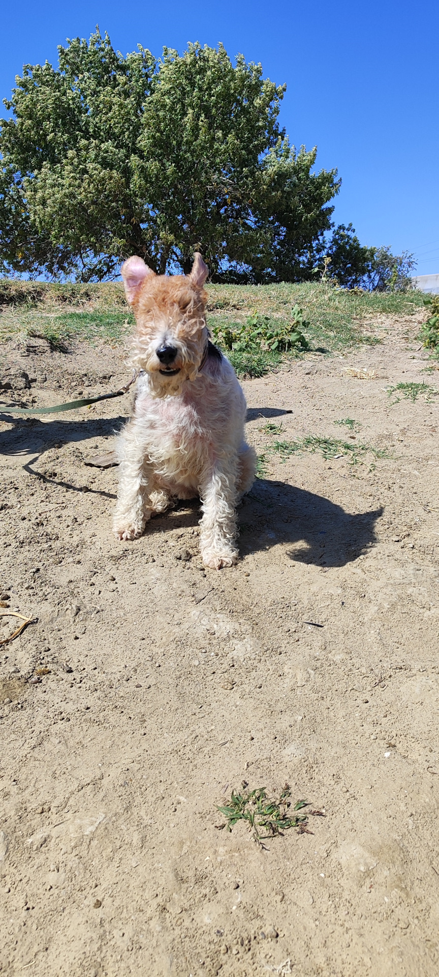 Фото в бортжурнале Mitsubishi Pajero (4G)