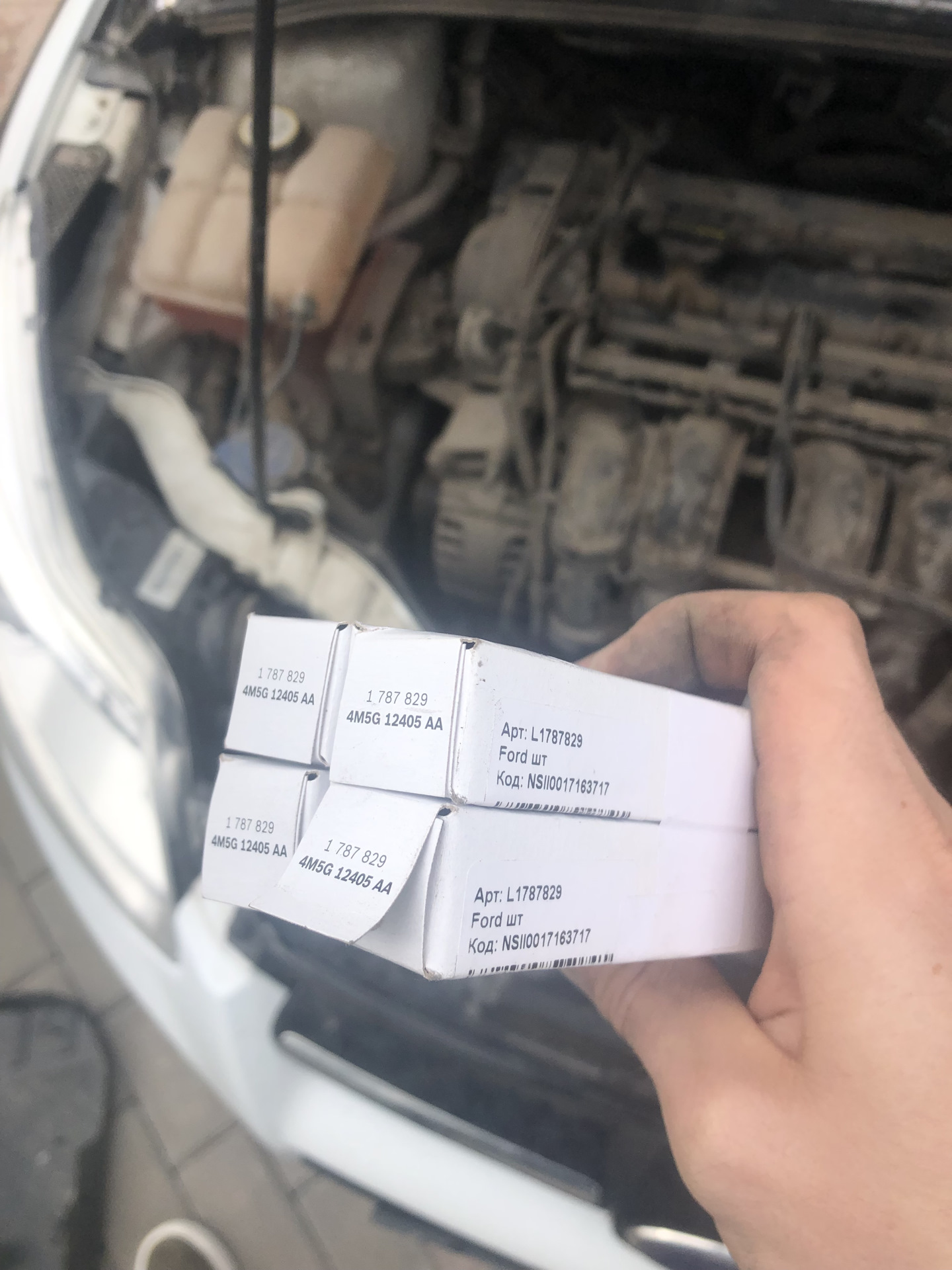 Плановое ТО — Ford Focus Hatchback III, 1,6 л, 2012 года | плановое ТО ...