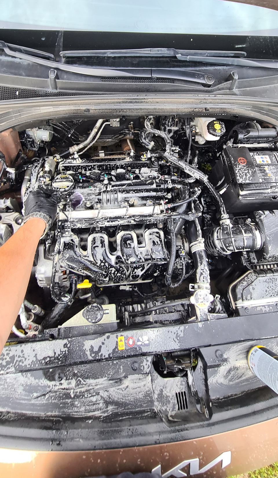 Фото в бортжурнале KIA Ceed SW (3G)