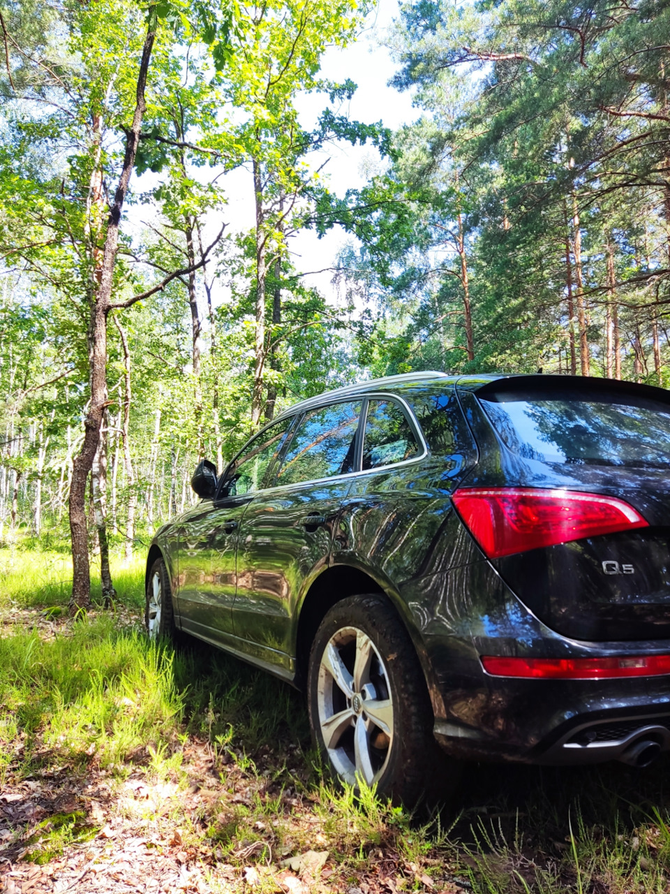 Алло! Завтра мы едем в лес… — Audi Q5 (1G), 2 л, 2010 года | путешествие |  DRIVE2