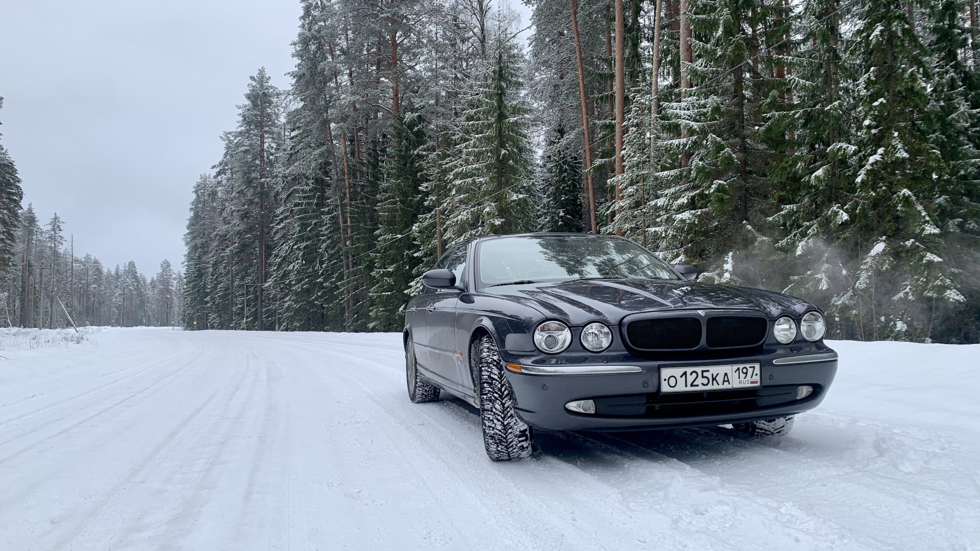 Jaguar XJR (X350 X358) 4.2 бензиновый 2003 | «Karl» на DRIVE2