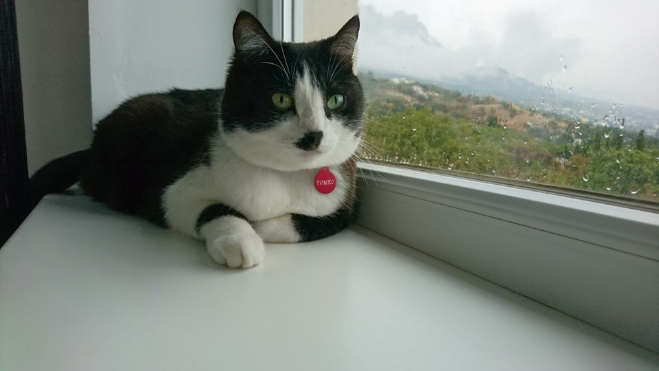 Фото в бортжурнале Mazda CX-7