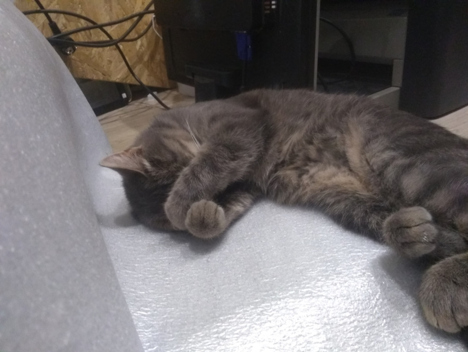 Как стучит подушка весты — Lada Vesta, 1,6 л, 2019 года | просто так ...