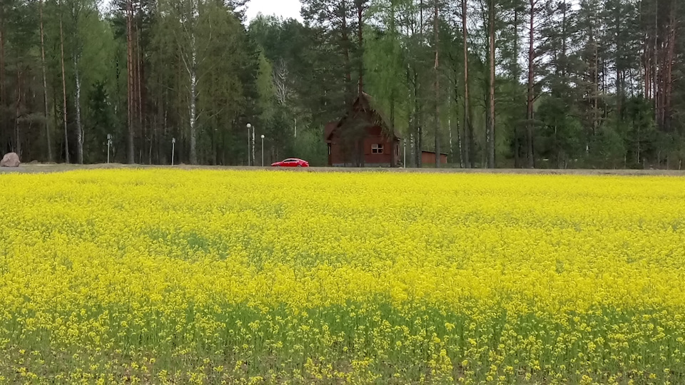 Фото в бортжурнале Opel Insignia Hatchback