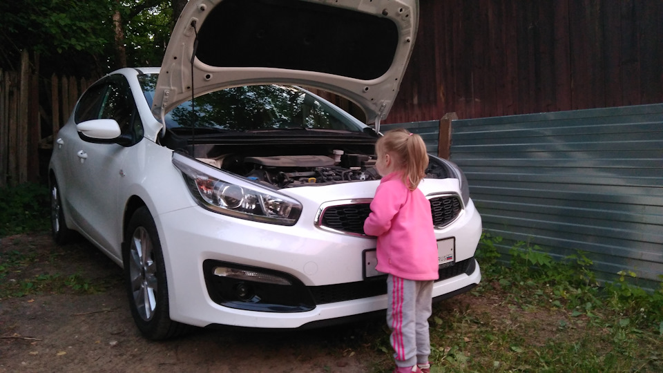 KIA Ceed Скрат 🌰