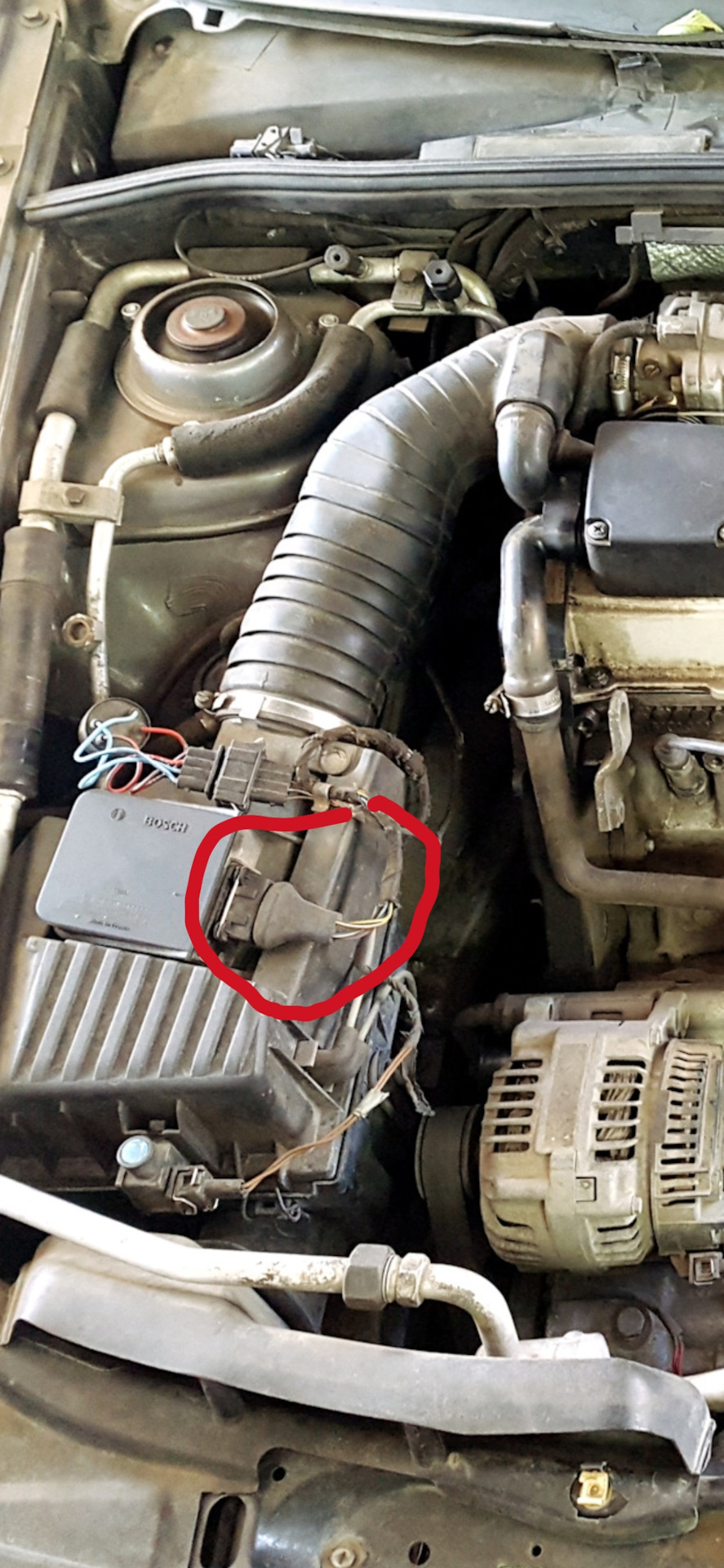 Нужна помощ в распиновка фишки дмрв к самому датчику дмрв — Volkswagen ...