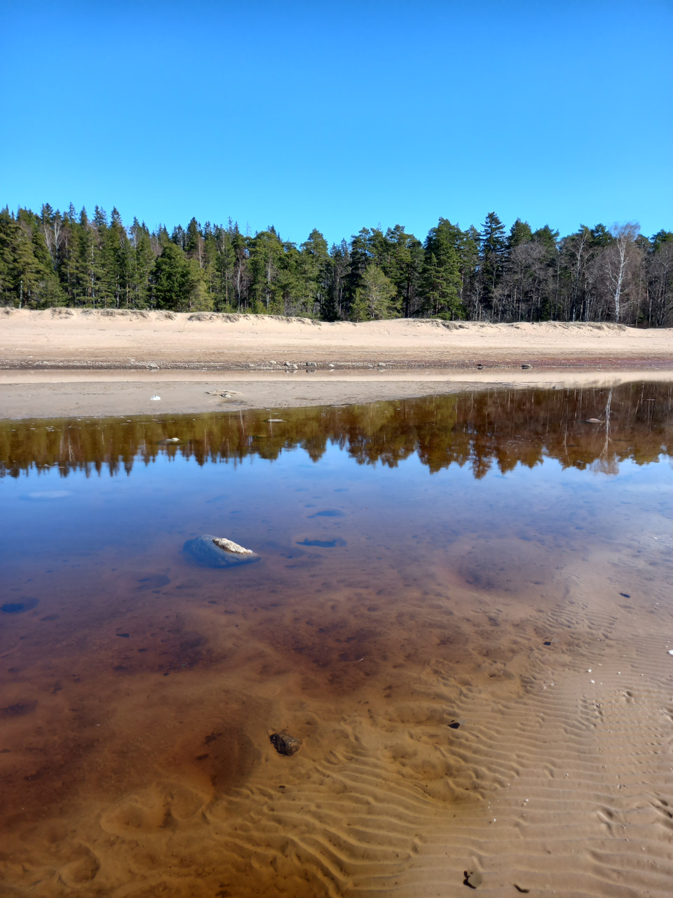 Фото в бортжурнале Renault Sandero 2G