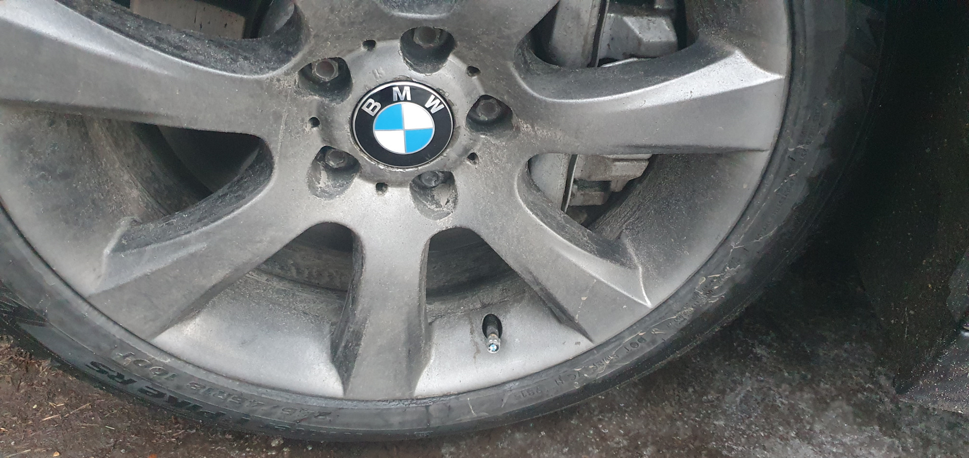 Подарочки на новый год неподвижные колпачки — BMW 5 series (F10), 3 л ...