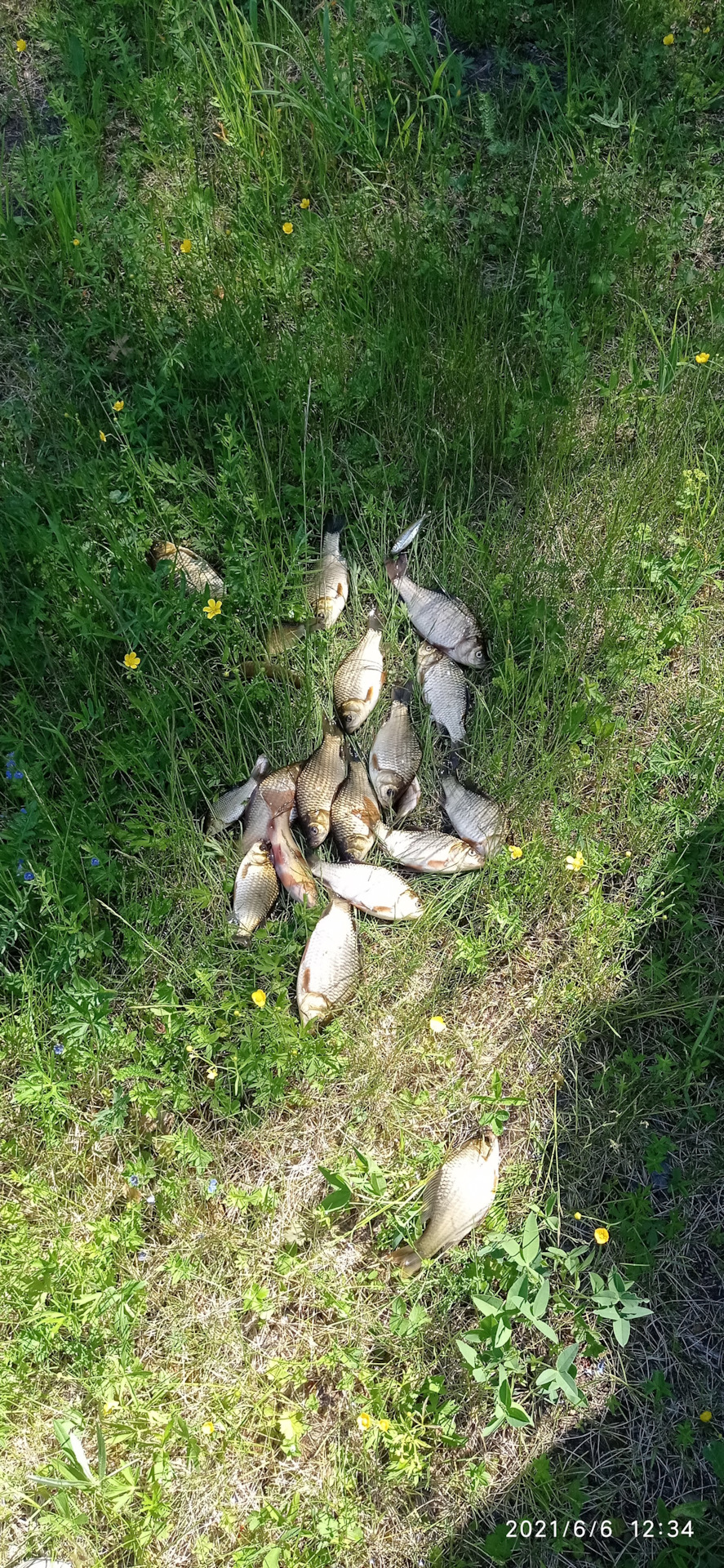 Неожиданная смена резины или насколько крепкая родная резина и машина ...