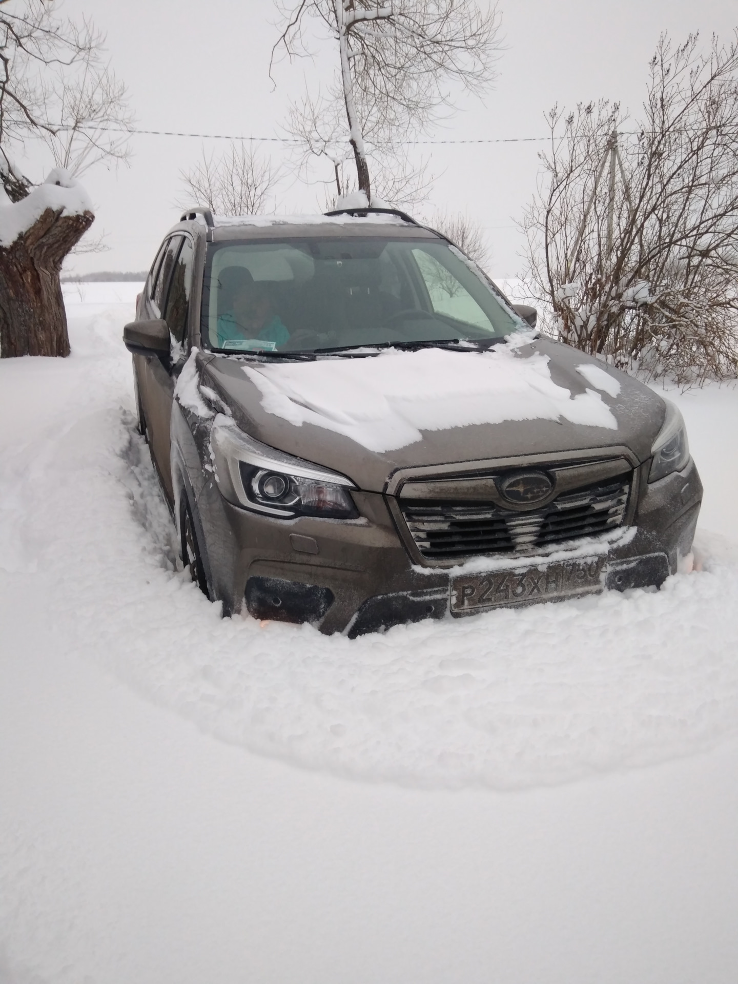 Subaru time, но лопата всетаки нужна — Subaru Forester (SK), 2 л, 2019 года  | наблюдение | DRIVE2