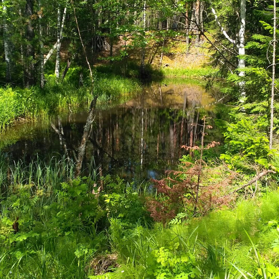 Фото в бортжурнале Suzuki Escudo (1G)