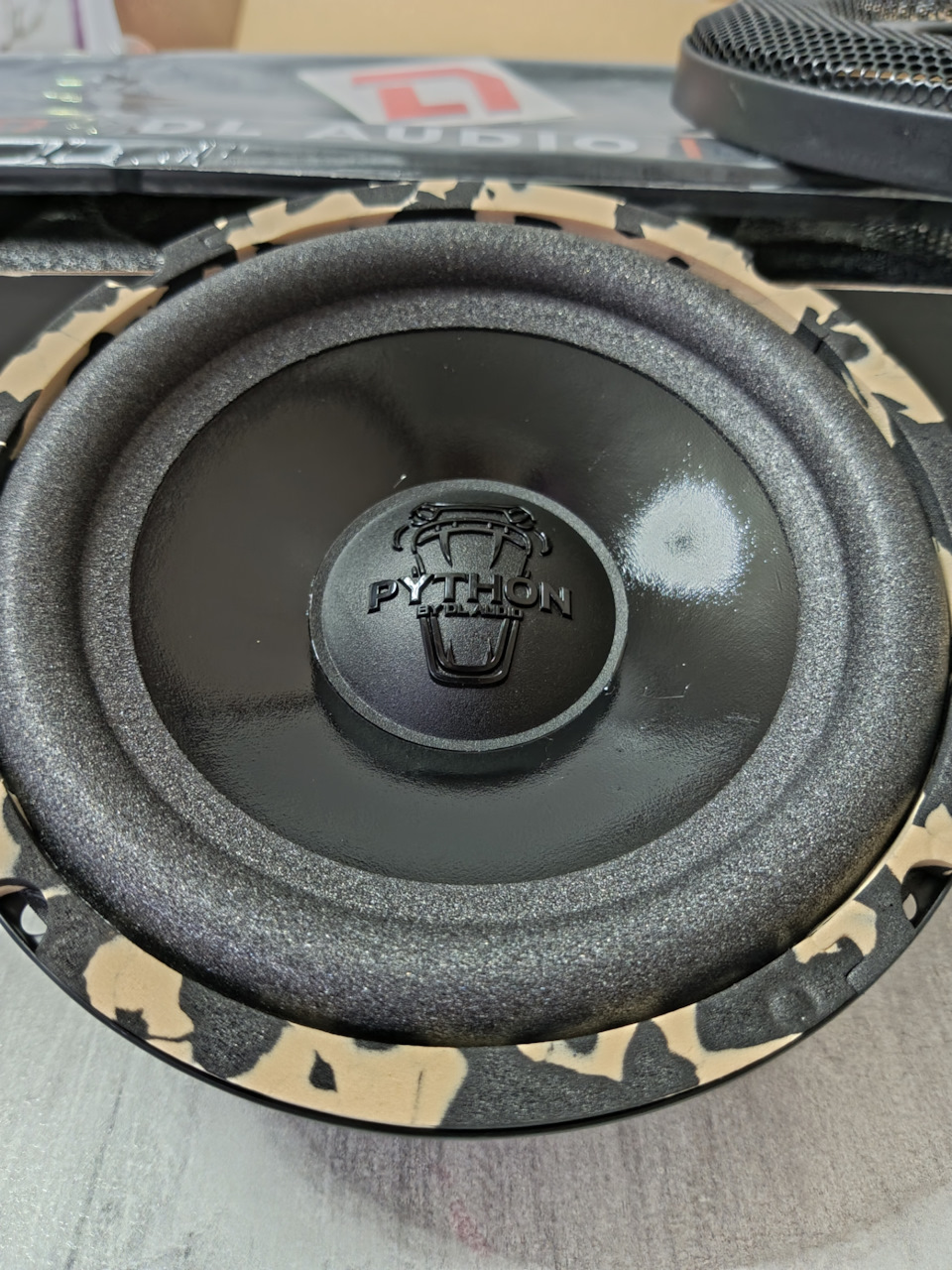 🐍💪 — Haval Jolion