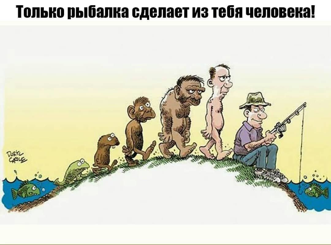 Эволюция день рождения. Эволюция прикол. Эволюция смешные картинки. Эволюция человека карикатура. Эволюция человека шутка.
