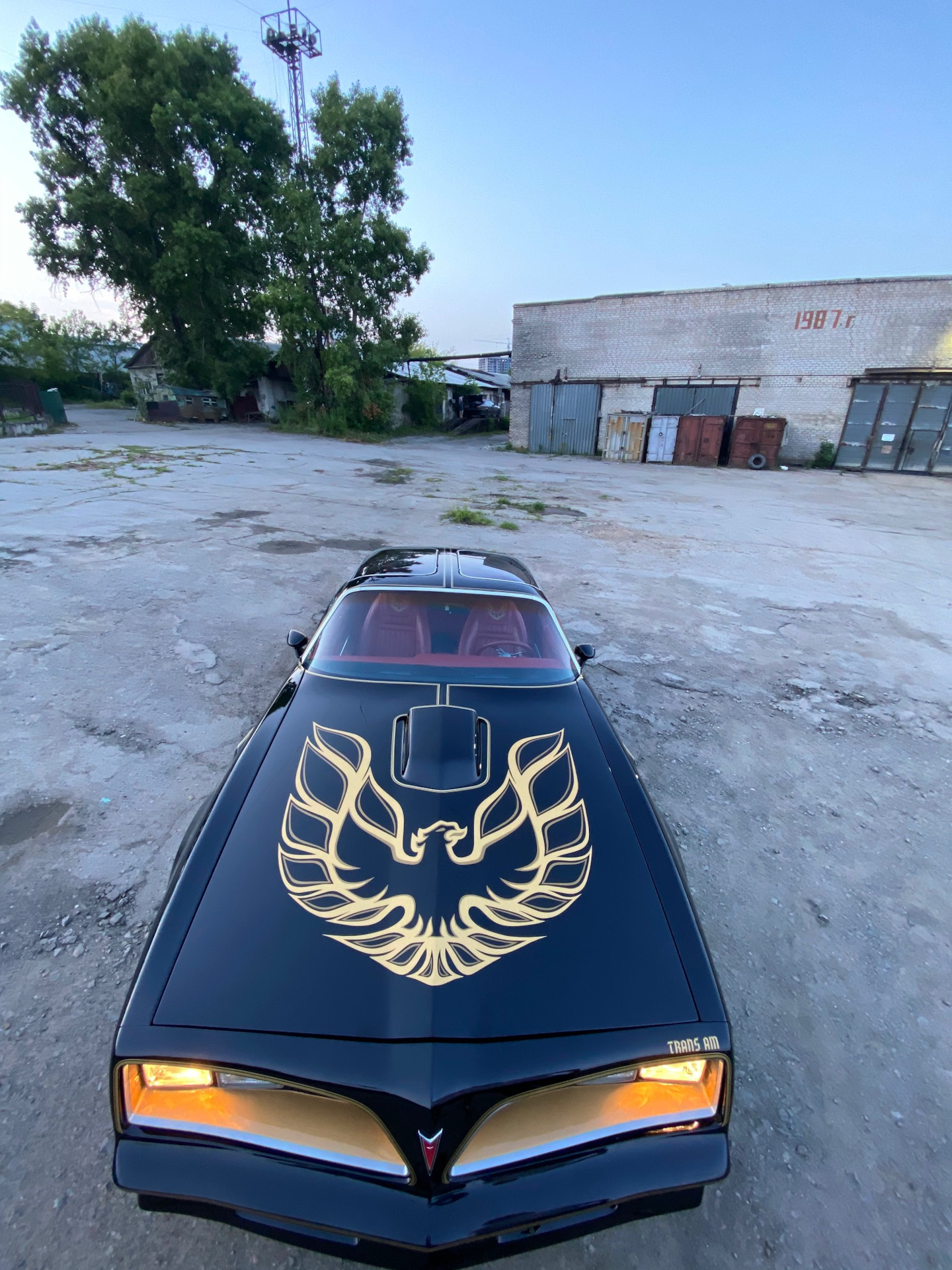 Firebird Pontiac РІРёРЅРёР»С‹