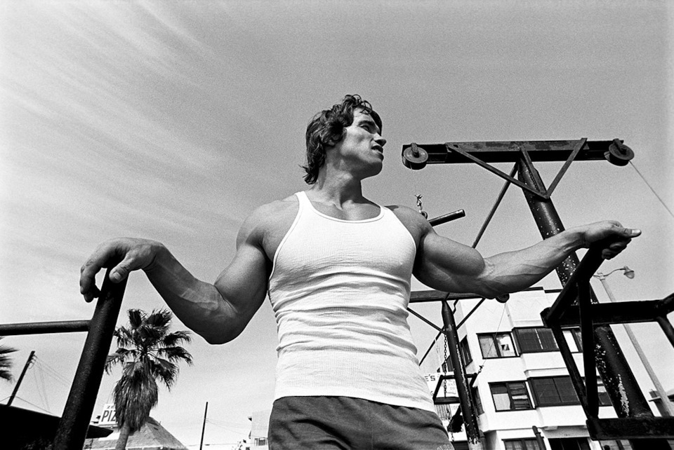Tom Buchanan: Arnold Schwarzenegger is a perfect example for Tom Buchanan becaus