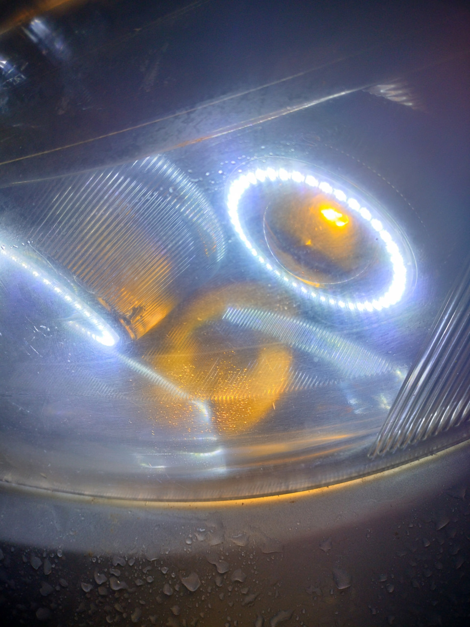 Ховер н3 лампочки ближний свет. Патрон лампы габаритов ховер н5 артикул. Какие лампочки стоят на ховер. Лампа ближнего света ховер н3. Лампа ближнего света ховер н3.