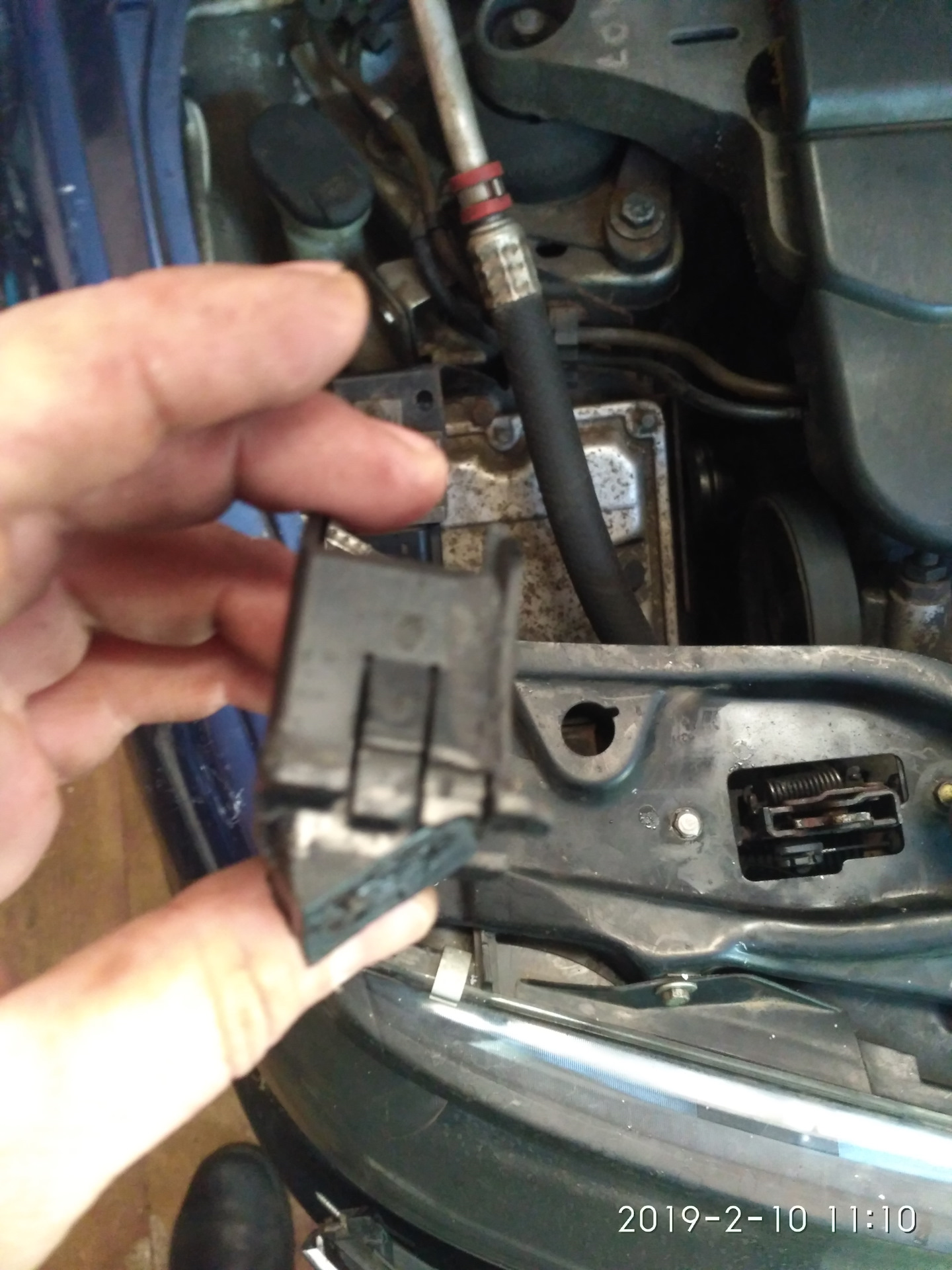 Рено лагуна 2 реле звукового сигнала. Лагуна сигнал. Стоп сигнал рено лагуна 3 универсал. Laguna 3 звуковой сигнал. Лагуна сигнал.