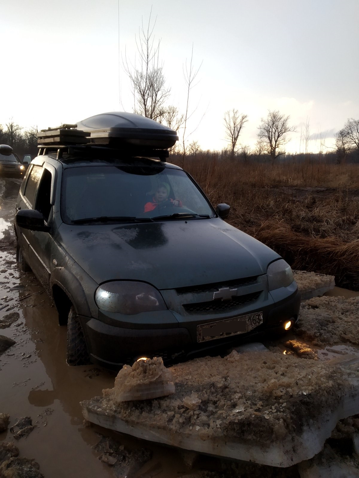 Купить Авто Нива В Самарской Области