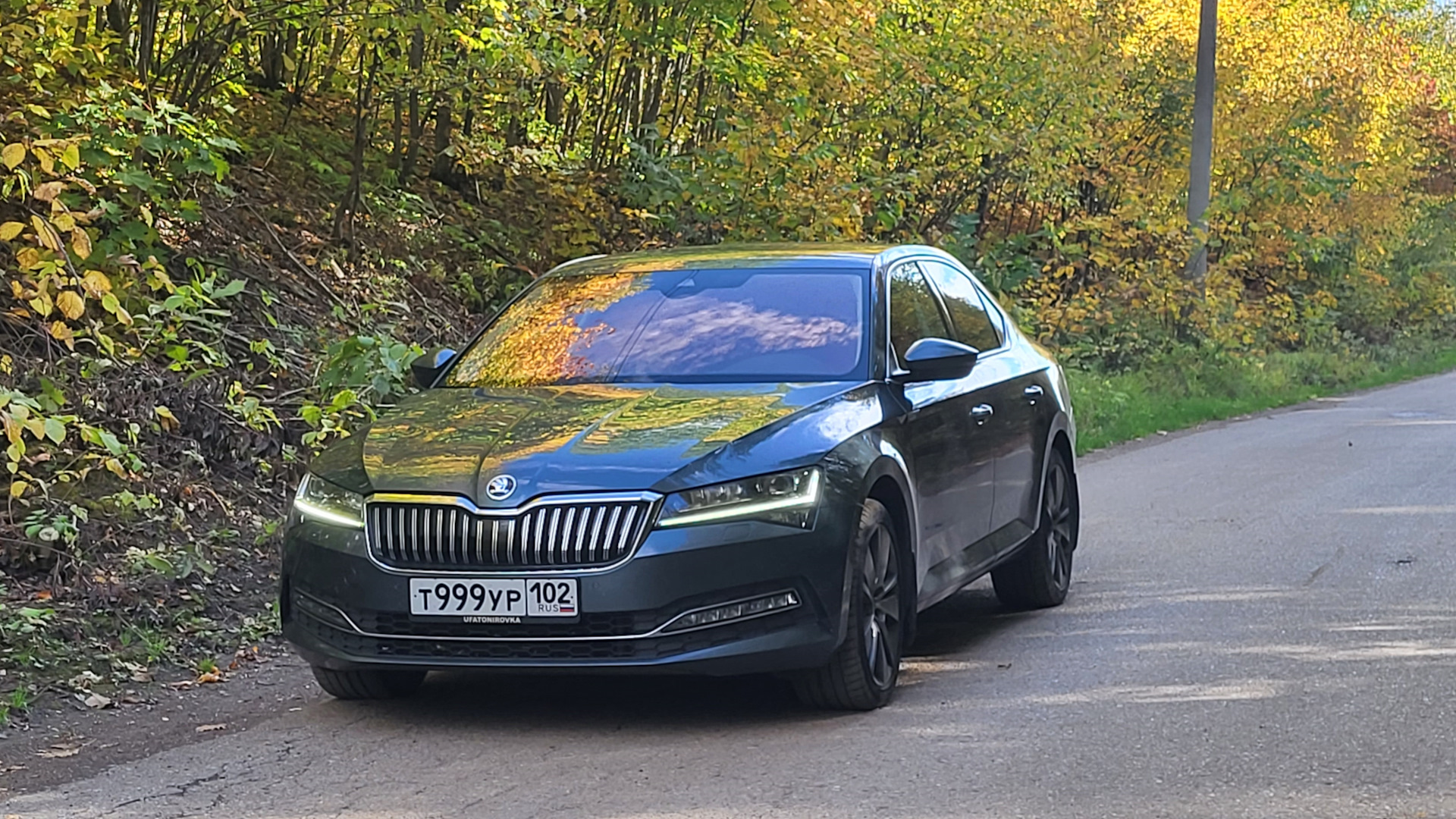 Skoda Superb Mk3 2.0 бензиновый 2020 | Супер Кот на DRIVE2