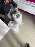 ydieyhP8vibPwcpFBrFwqqtFQGA-120.jpg