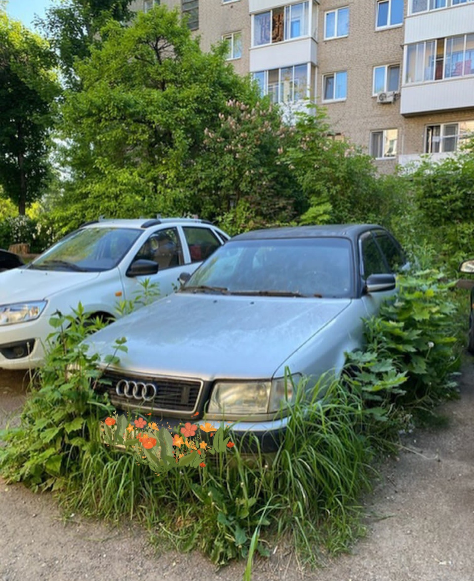 Брошенные автомобили (частная собственность) — Сообщество «Брошенные Машины»  на DRIVE2