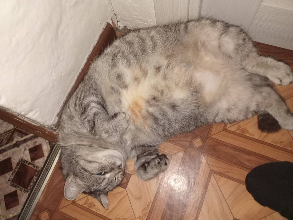 Пропуски зажигания калина — Lada Калина седан, 1,6 л, 2008 года ...