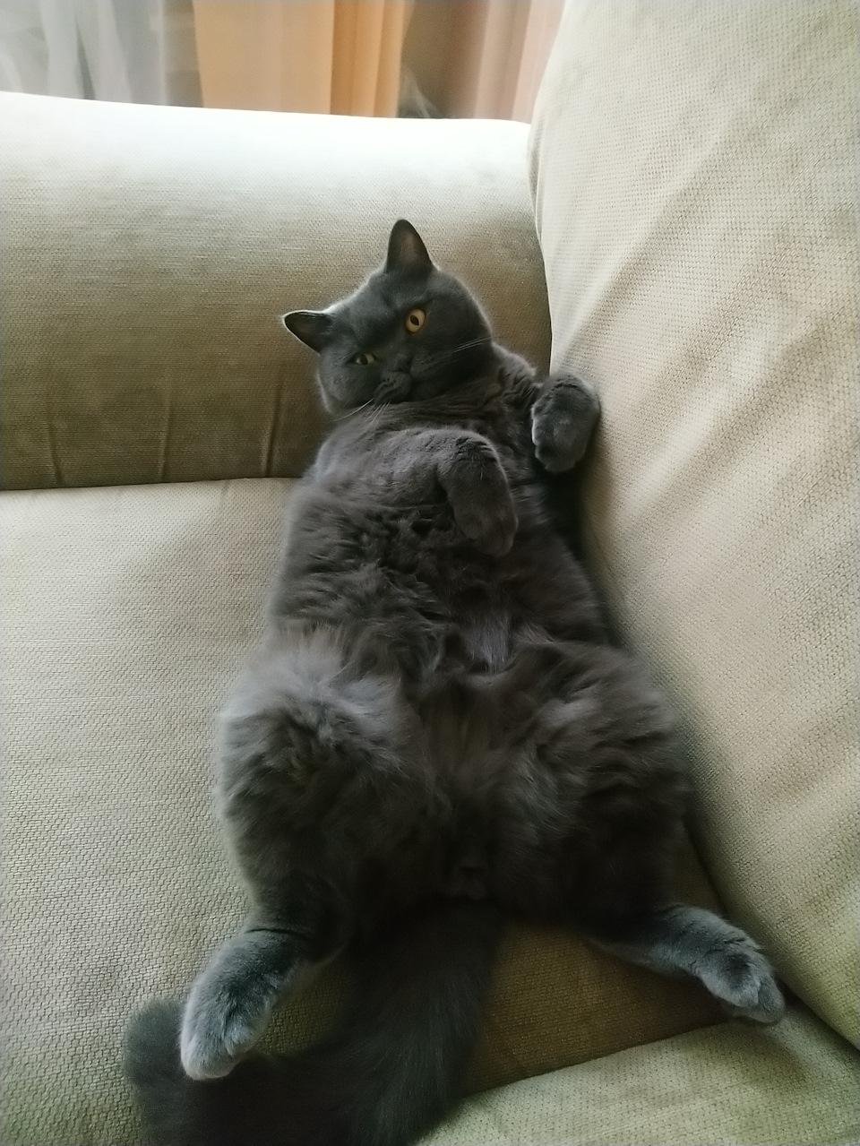 Троит — ГАЗ Газель, 2,9 л, 2013 года | своими руками | DRIVE2