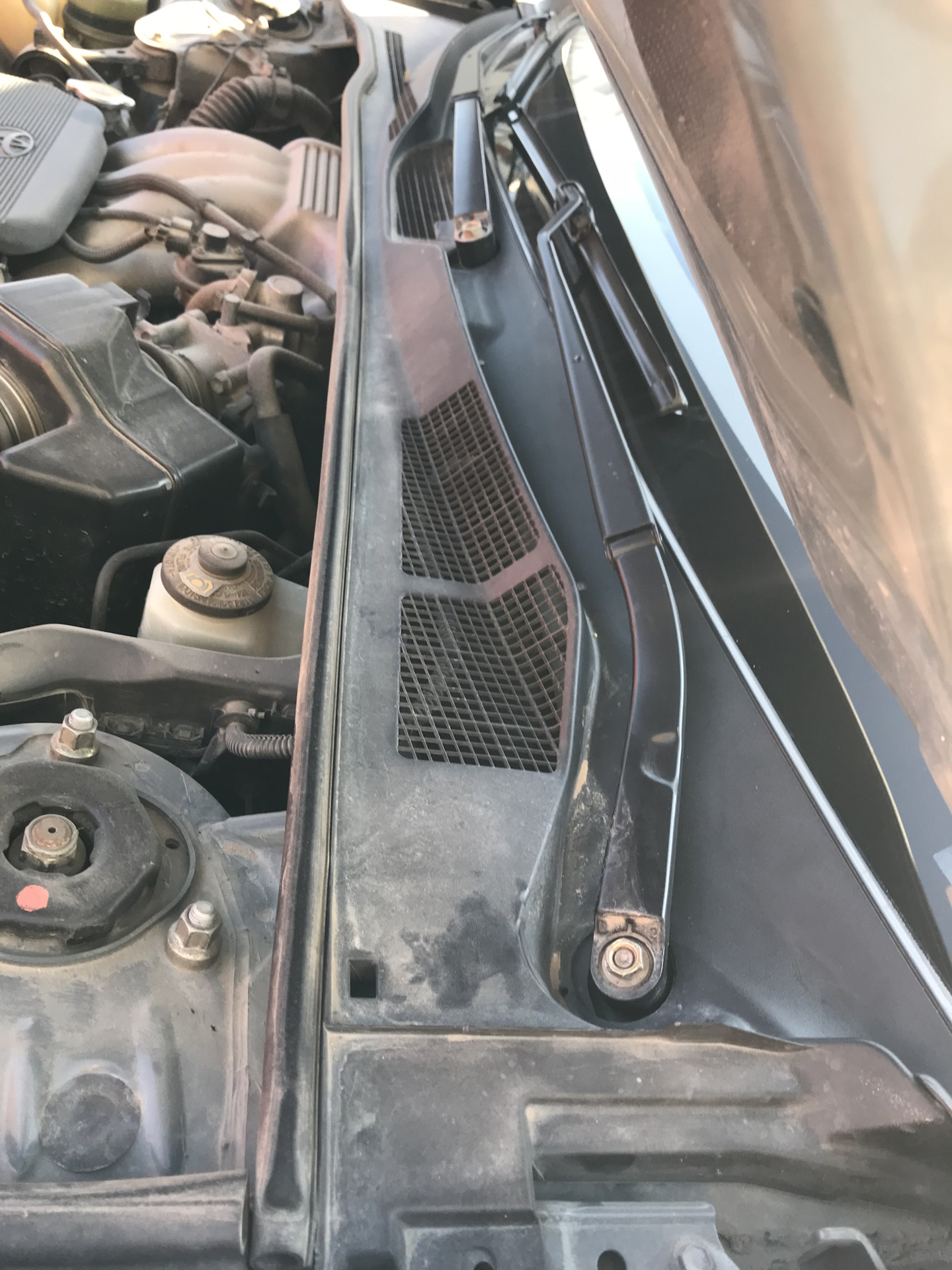 Как снять жабо тойота Устранение скрипа жабо! - Toyota Camry (XV30), 3 л, 2004 года своими руками DRIV