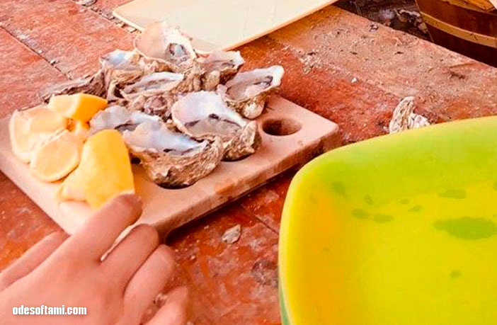 Устричная ферма — Устрицы Скифии — Mitsubishi Outlander XL, 2,4 л, 2008 ...