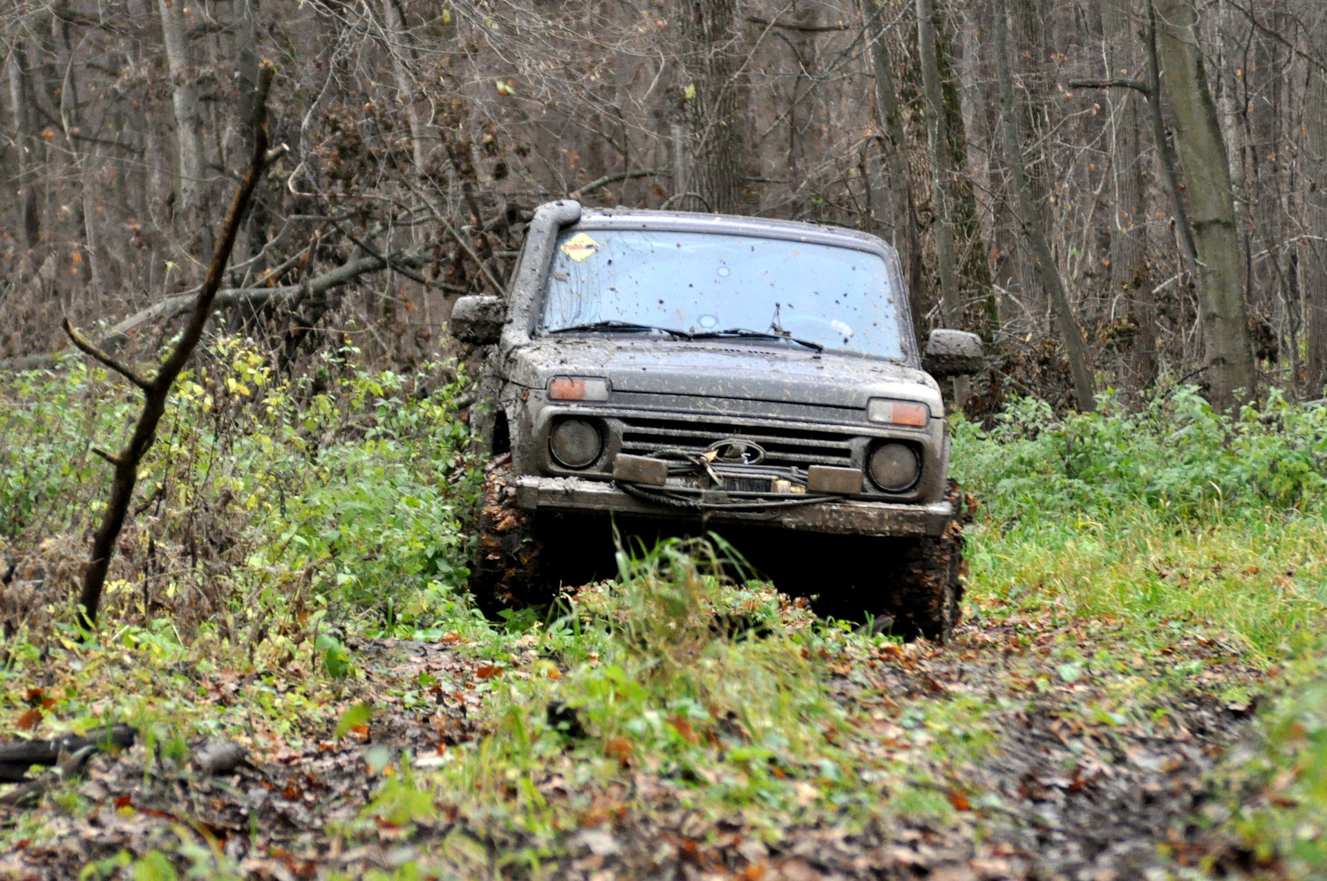 Нива 4x4 по лесам