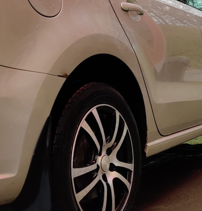 Помогите советом. Как грамотно и надолго избавиться от "рыжиков ...