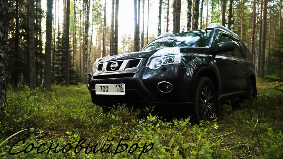 Nissan X-Trail Крокозавр