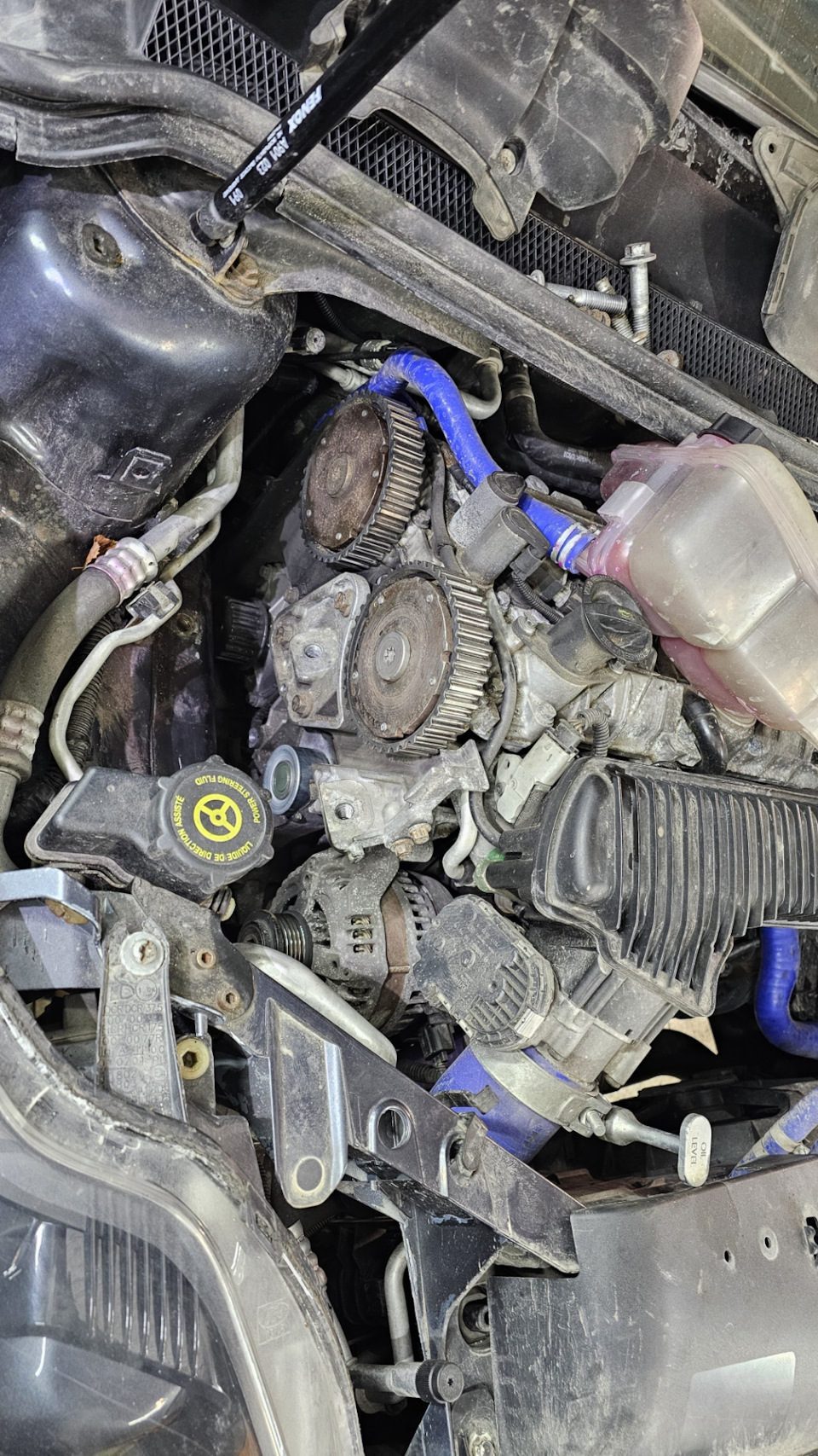 Фото в бортжурнале Ford Focus Sedan II