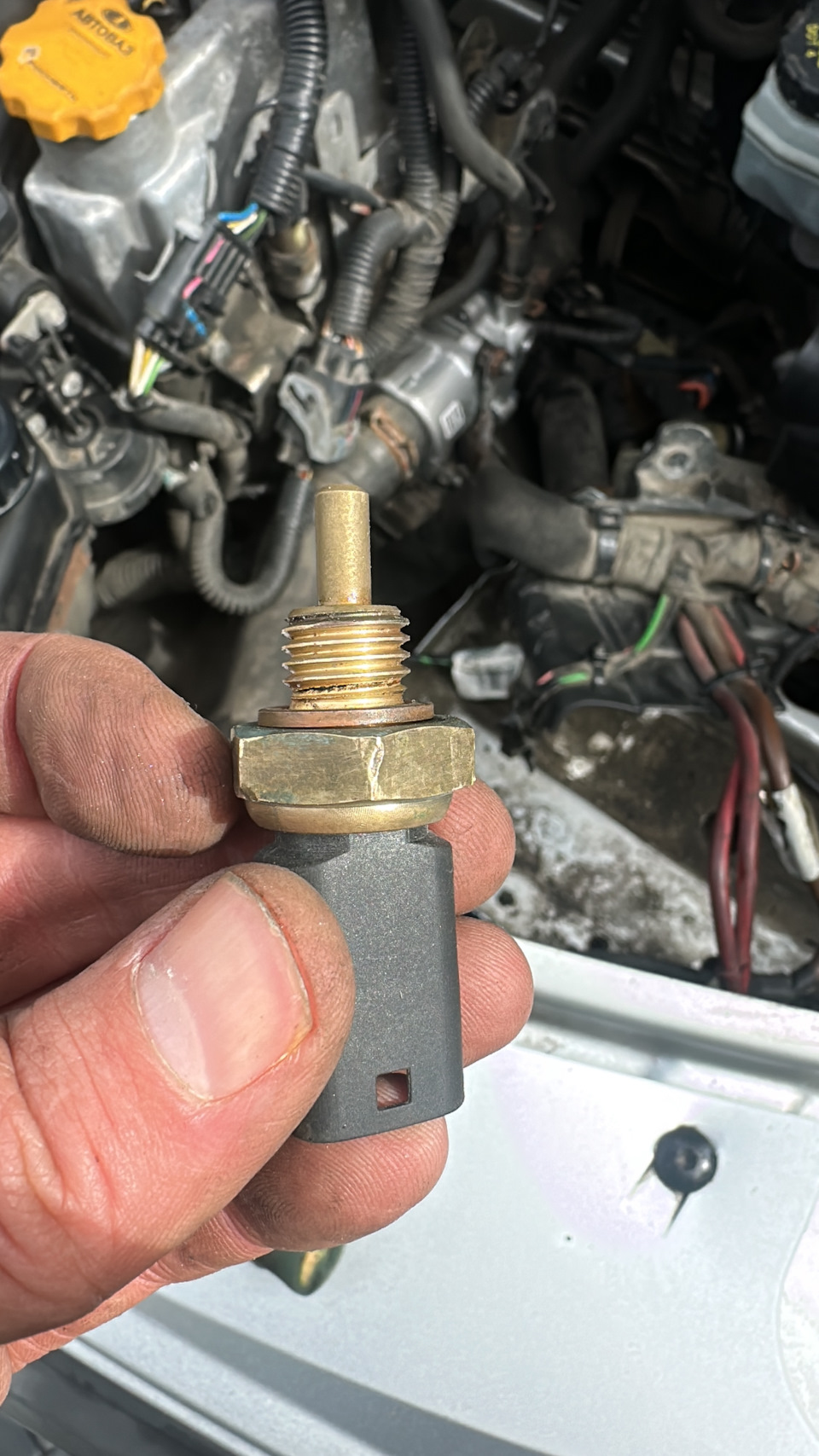 Фото в бортжурнале Lada Ларгус