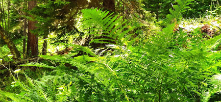 Фото в бортжурнале Haval H6 (1G)